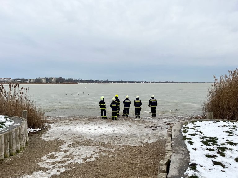 ÁLLATMENTÉS VELENCÉN